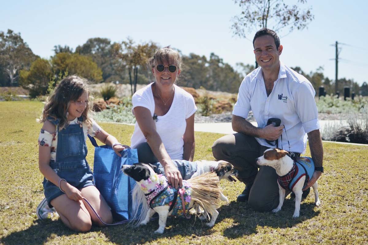 ave_a-dogs-breakfast