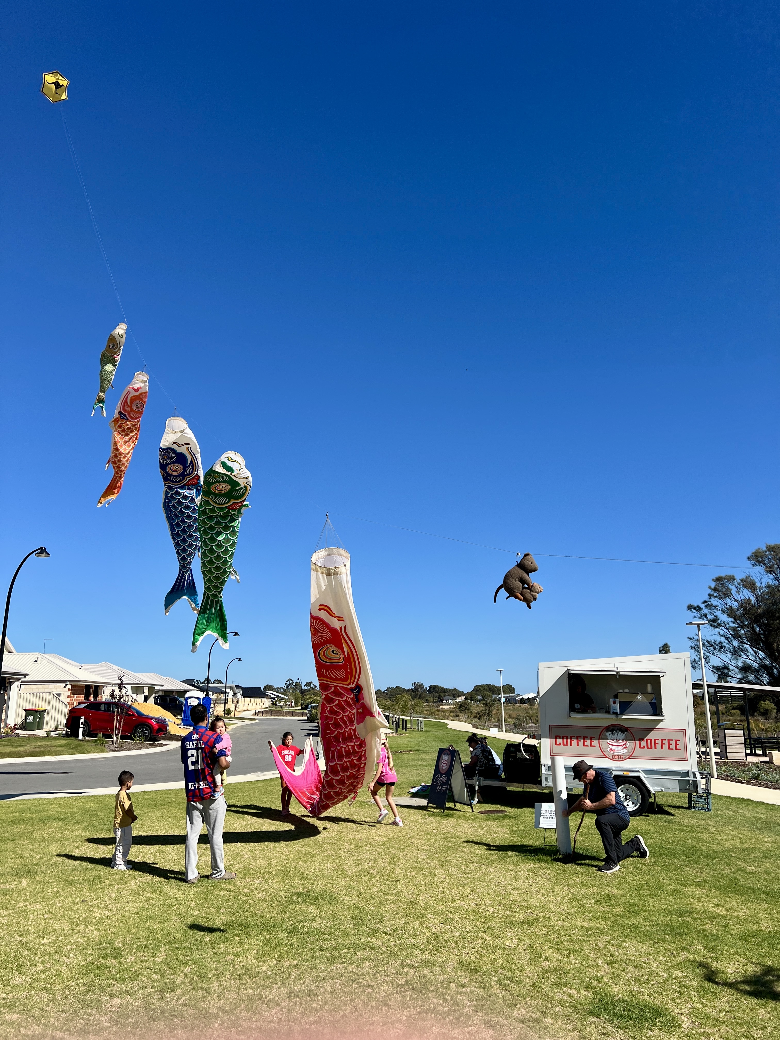 Kite Fest Brings Colour, Creativity and Community to The Ave