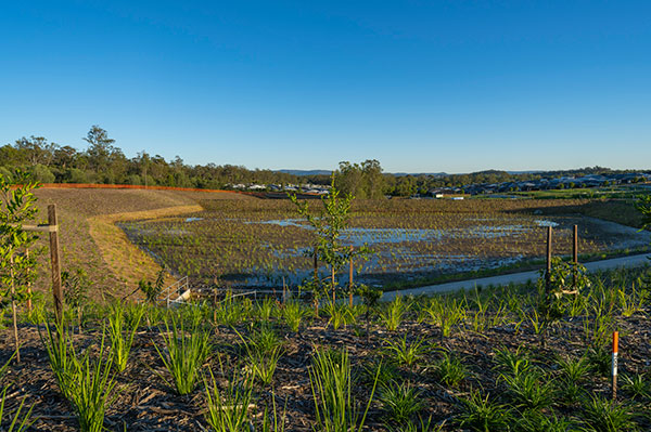 EdenCrossingBioBasin